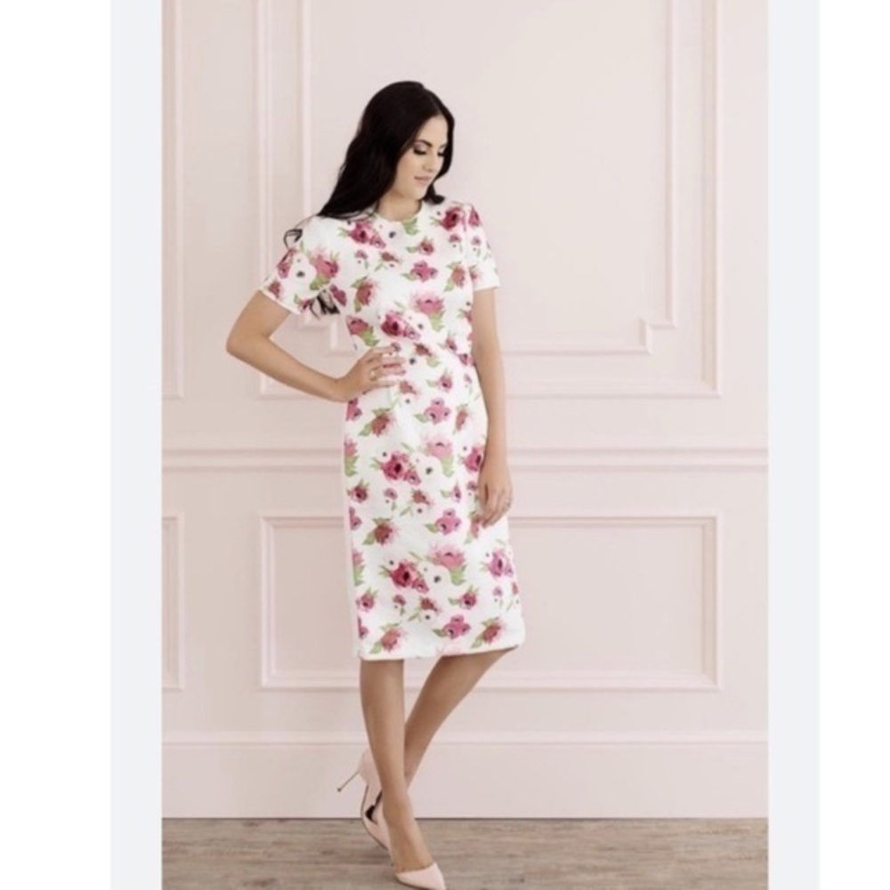 Rachel Parcell Classic Dress Pink Peonies Midi Sheath in Floral Bloom White